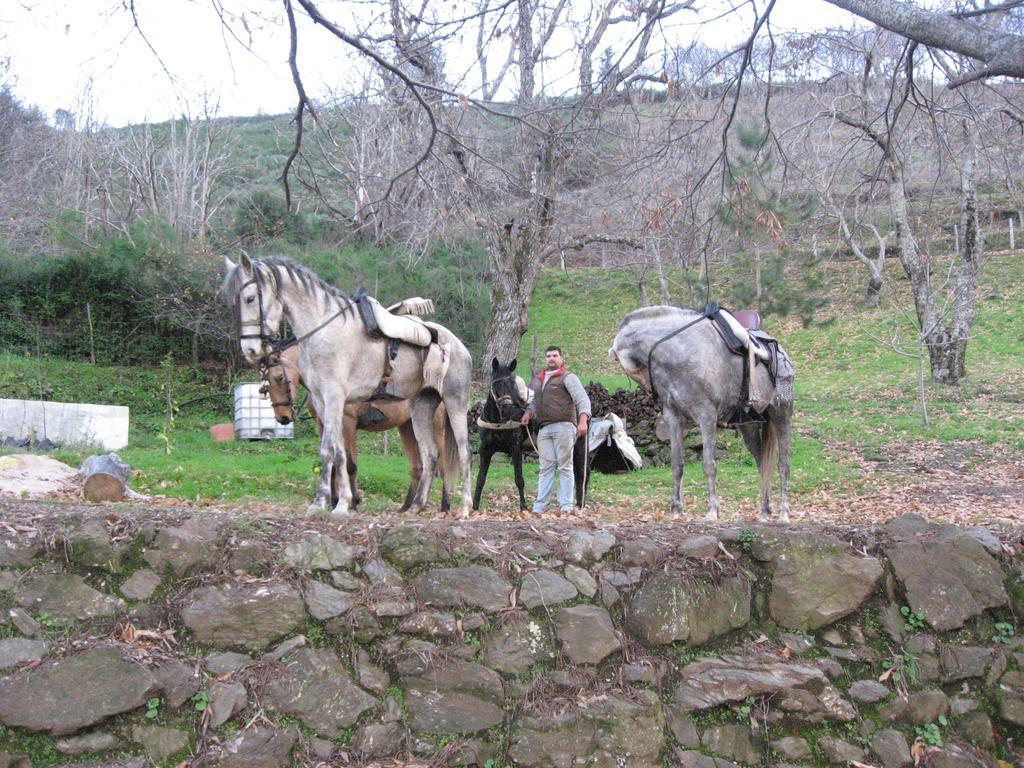 Posada Mirador De Jubrique Exteriör bild